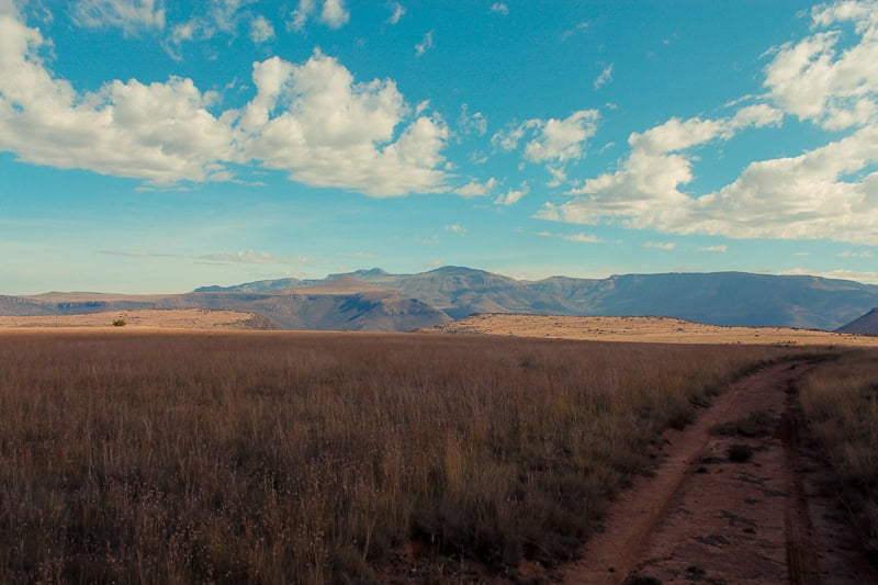 Samara Landscapes