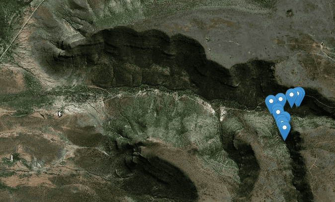 Online portal for elephant tracking