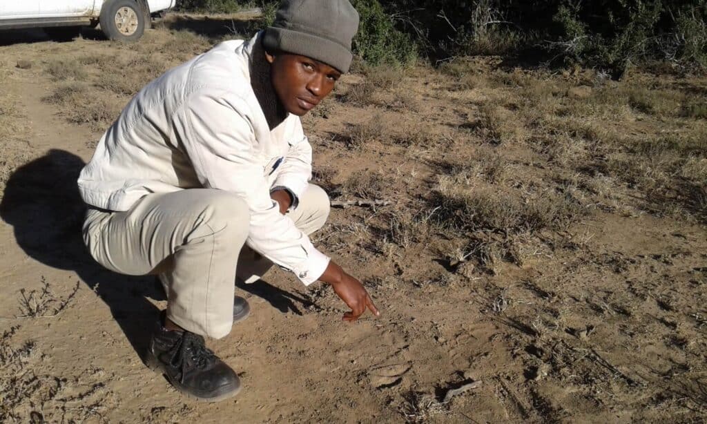 ntsindiso-pointing-at-tracks-elephant-intern-tracker-samara-ERP-penny-pistorius-1900×1140