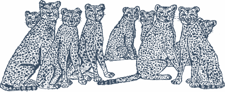 Cheetah_Family blue