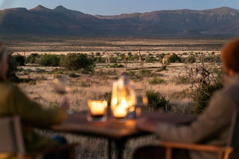 Samara-plains-camp-view-giraffe-honest-work-maike-mcneill