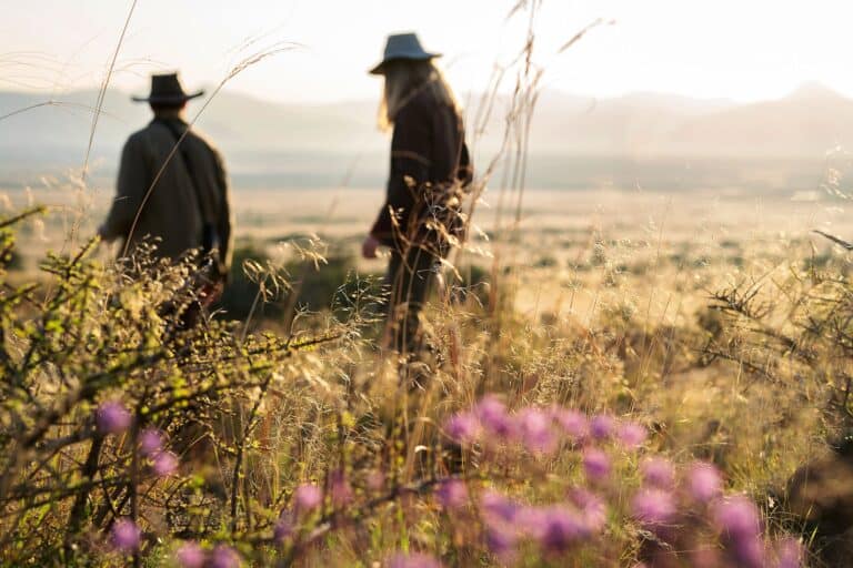 Samara-plains-camp-walking-safari-honest-work-maike-mcneill (1)