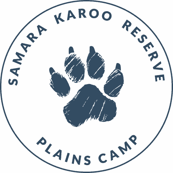 plains camp logo stamp blue