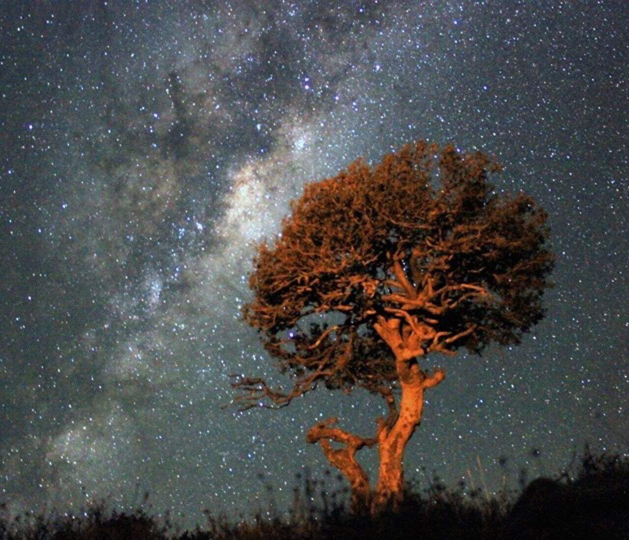 Karoo_Stars