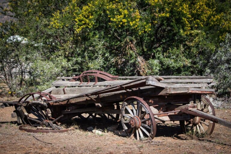 Karoo_Wagon