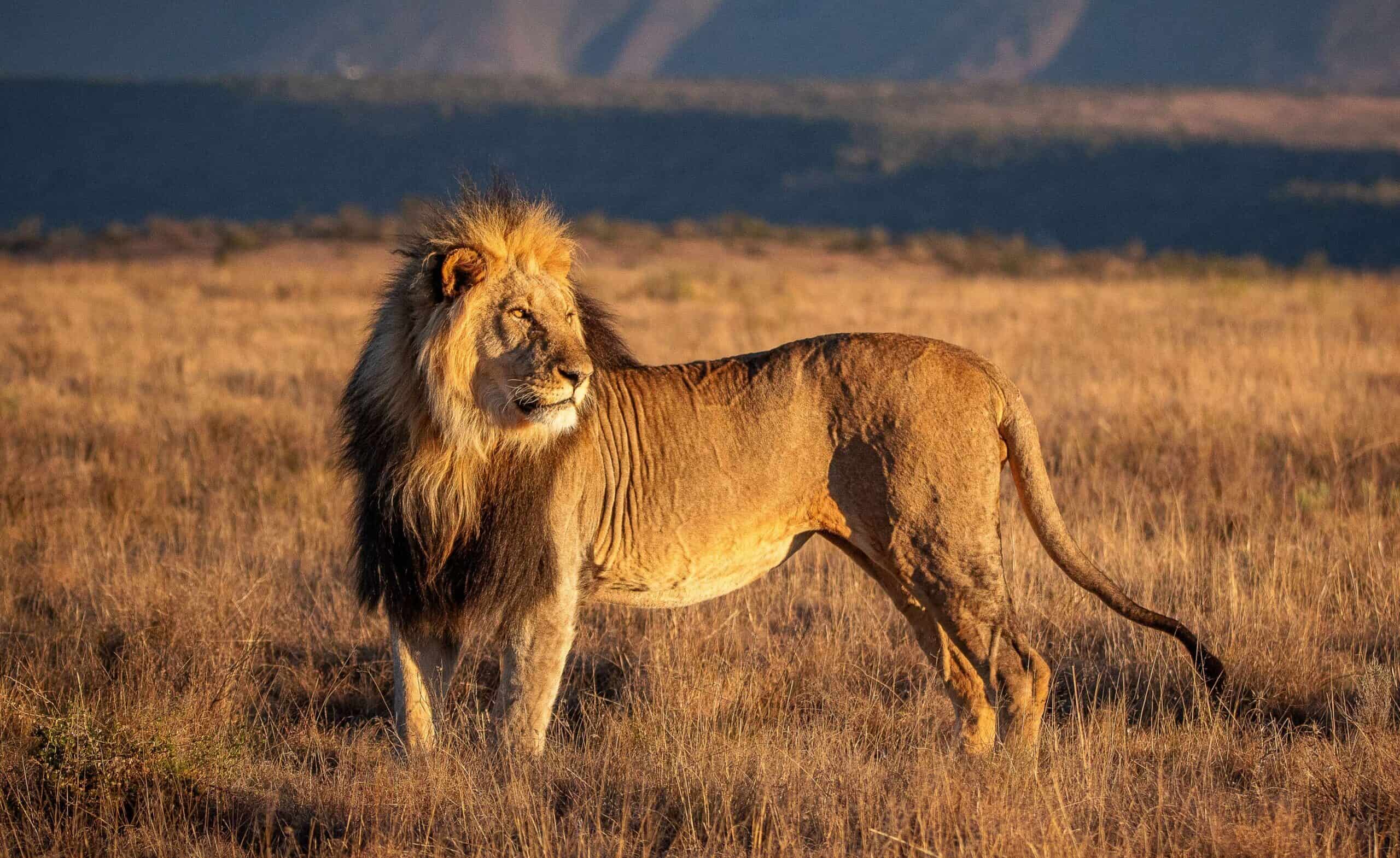 Marakele Male_Roelof Wiesner (1)