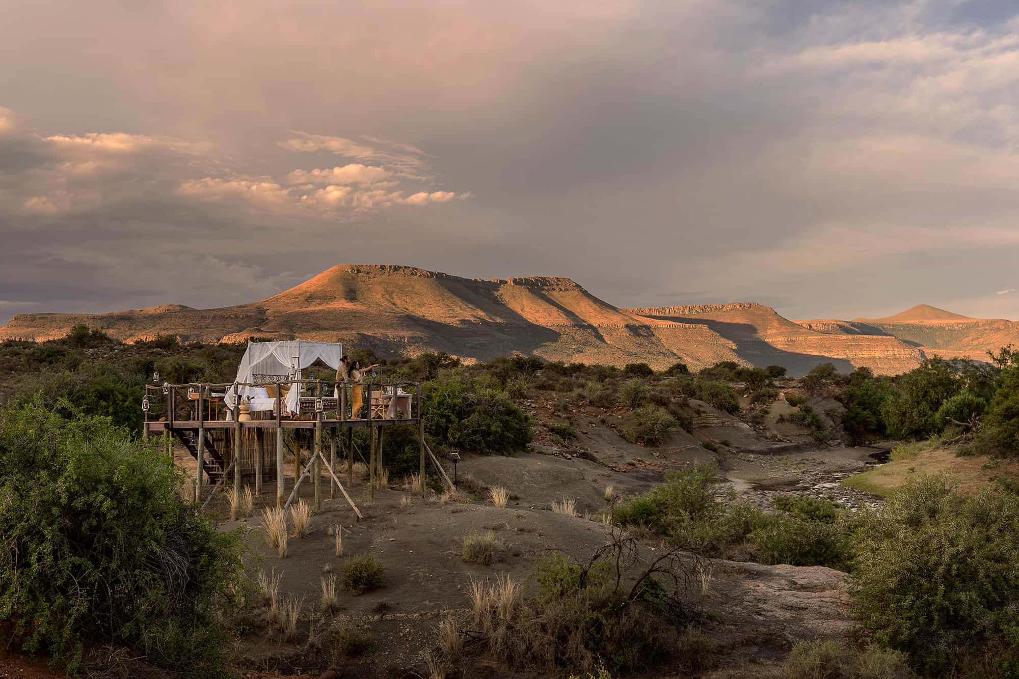 Samara-Karoo-star-bed-landscape-Maike-McNeill-3