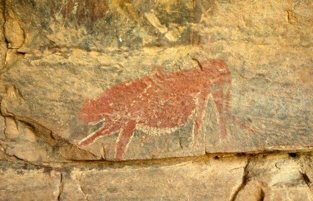 cheetah-rock-art-samara-karoo-reserve