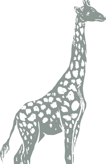 giraffa