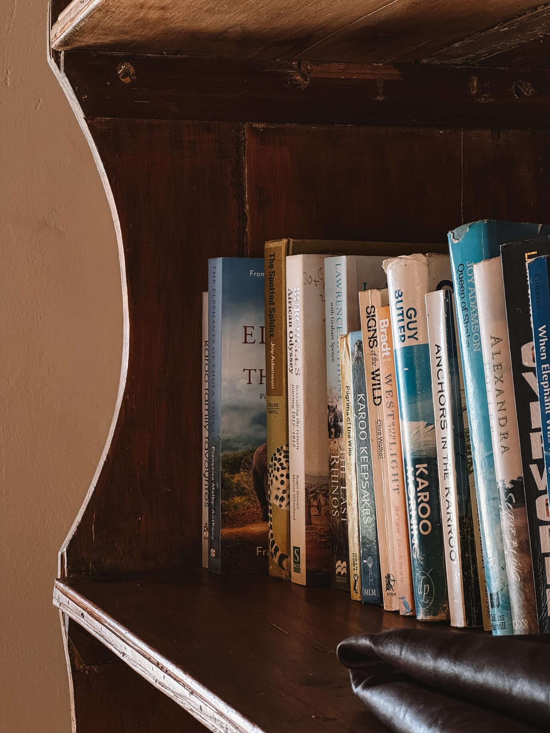 Voices of the Karoo (Placeholder)