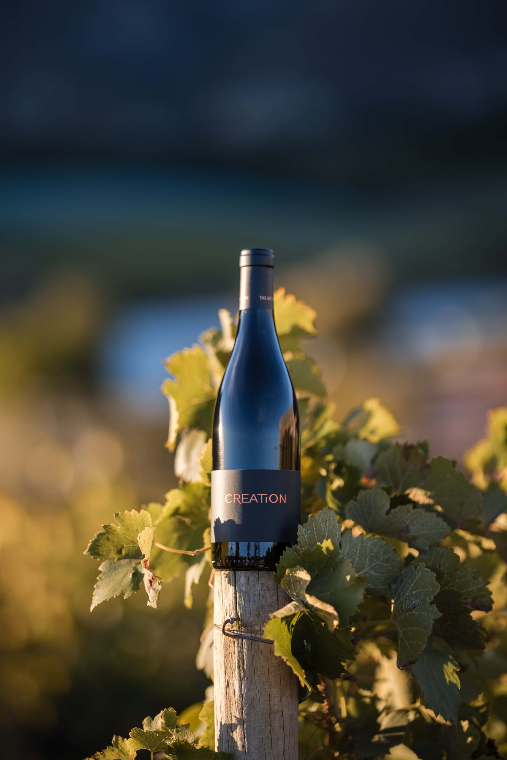 creation2026-311 (1)